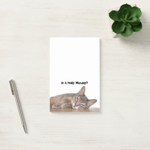 Ist es wirklich Montag? Funny Abyssinian Cat Meme Post-it Klebezettel