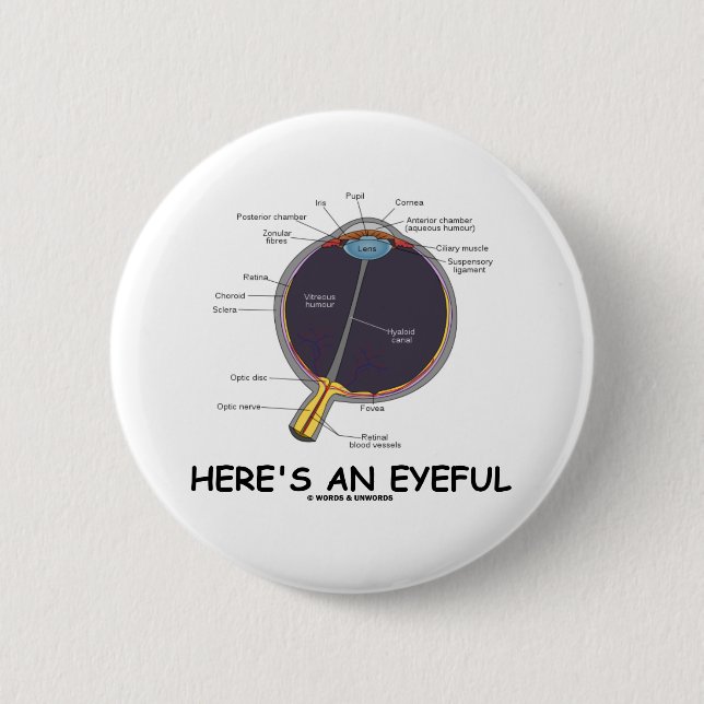 Ist hier ein Eyeful (Augen-Anatomie-Spaß) Button (Vorderseite)