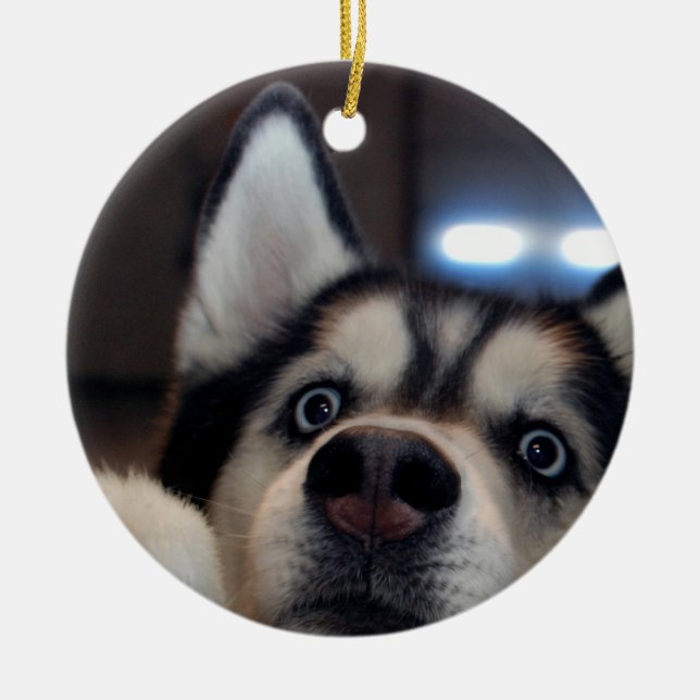 Ist jemand da draußen? keramik ornament (Vorne)