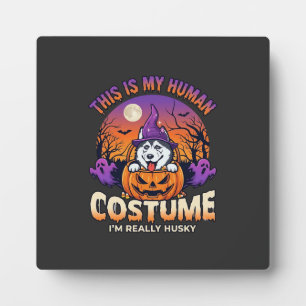 Ist menschliches Kostüm Husky-Kürbis-Halloween-Gei Fotoplatte