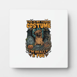 Ist menschliches Kostüm-Pug-Halloween-Kürbis-Grabs Fotoplatte