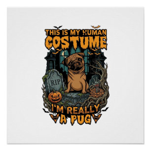 Ist menschliches Kostüm-Pug-Halloween-Kürbis-Grabs Poster