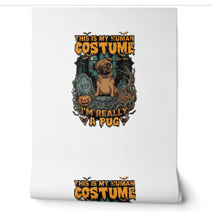 Ist menschliches Kostüm-Pug-Halloween-Kürbis-Grabs Tapete