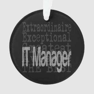 IT Manager Extraordinator Ornament