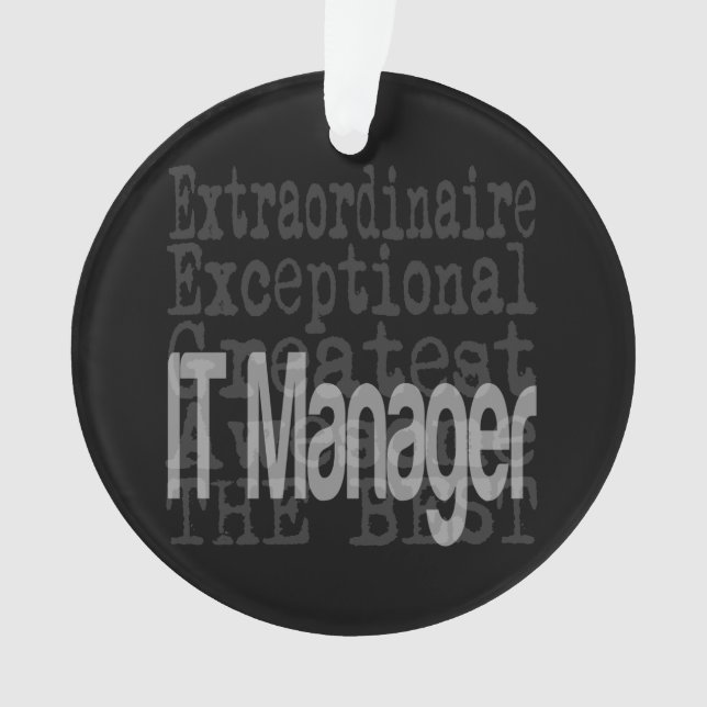 IT Manager Extraordinator Ornament (Vorderseite)