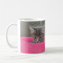 It’s not my fault. Office Humor. Cat Coffee Mug.