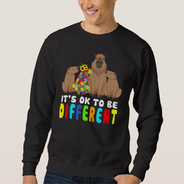 It s Ok To Be Different Capybara Autism Awareness Sweatshirt (Vorderseite)