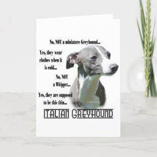 Italian Greyhound FAQ Karte