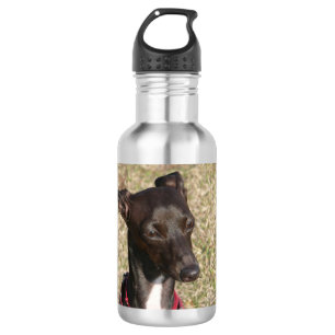italian greyhound.png trinkflasche