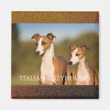 Italian Greyhounds Magnet