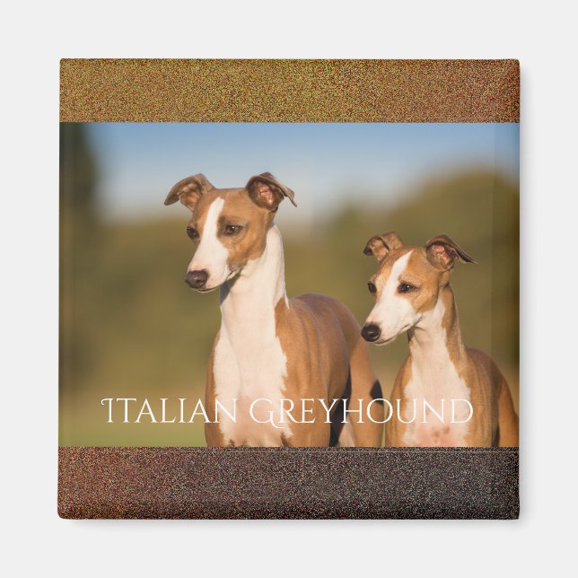 Italian Greyhounds Magnet (Vorne)