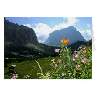 ITALIE : Fleurs sauvages, Dolomites
