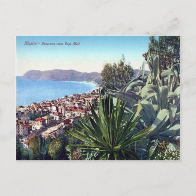 Italien, Alassio, Kaktus auf dem Abhang Postkarte (Vorderseite)