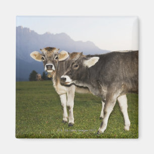 Italien, Alt die Etsch Magnet