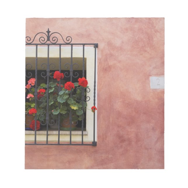 Italien, Asciano, Fensterboxen mit frischem Frühli Notizblock (Vorderseite)