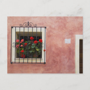 Italien, Asciano, Fensterboxen mit frischem Frühli Postkarte