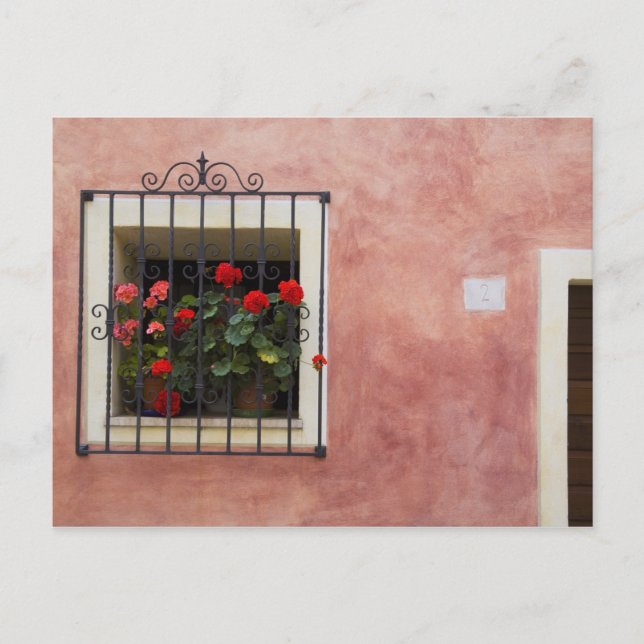 Italien, Asciano, Fensterboxen mit frischem Frühli Postkarte (Vorderseite)