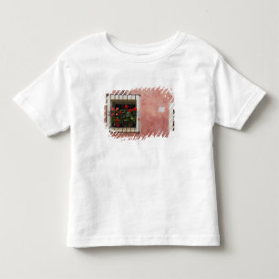 Italien, Asciano, Window Boxes mit frischem Frühl Kleinkind T-shirt
