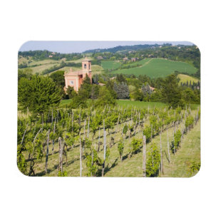 Italien, Bologna, Ansicht durch Weinberg zu Chiesa Magnet