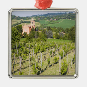 Italien, Bologna, Ansicht durch Weinberg zu Chiesa Ornament Aus Metall