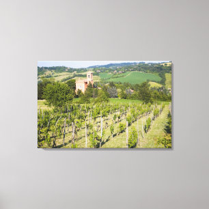 Italien, Bologna, Blick durch den Weinberg auf Chi Leinwanddruck