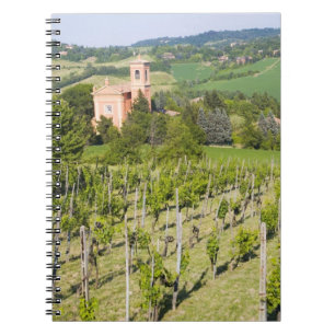 Italien, Bologna, Blick durch den Weinberg auf Chi Notizblock
