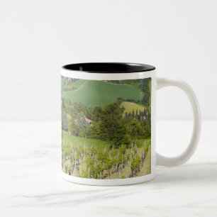 Italien, Bologna, Blick durch den Weinberg auf Chi Zweifarbige Tasse