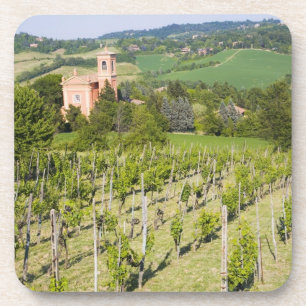 Italien, Bologna, Blick durch Weinberg auf Chiesa Untersetzer