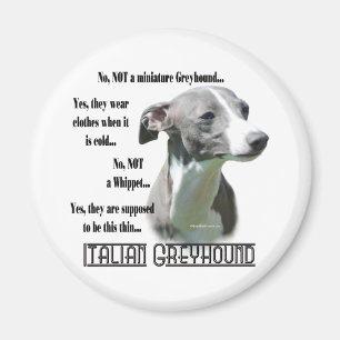 Italien Greyhound FAQ Magnet