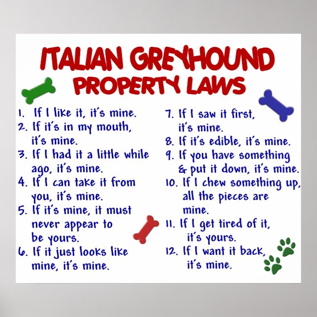 ITALIEN GREYHOUND PL2 POSTER (Vorne)