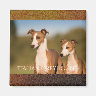 Italien Greyhounds Magnet