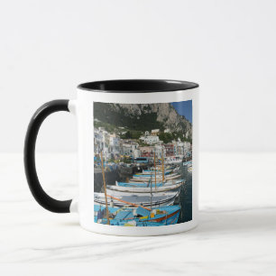 ITALIEN, Kampanien, (Golf von Neapel), CAPRI: Mari Tasse