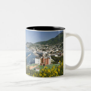 ITALIEN, Kampanien, (Golf von Neapel), ISCHIA, LAC Zweifarbige Tasse