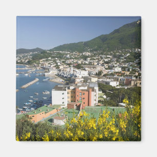 ITALIEN, Kampanien (Neapel-Bucht), ISCHIA, LACCO Magnet