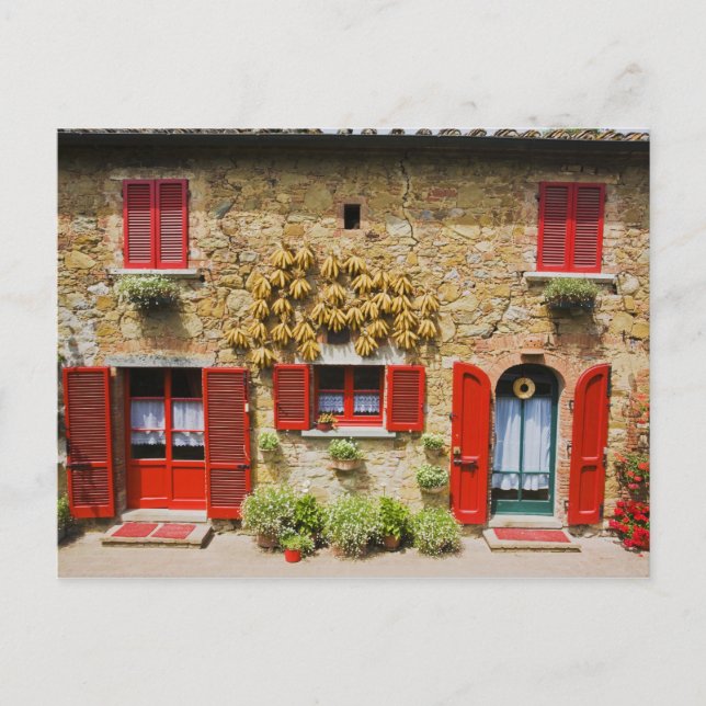 Italien, Lucignano, Rote Shutters und Ernte Postkarte (Vorderseite)