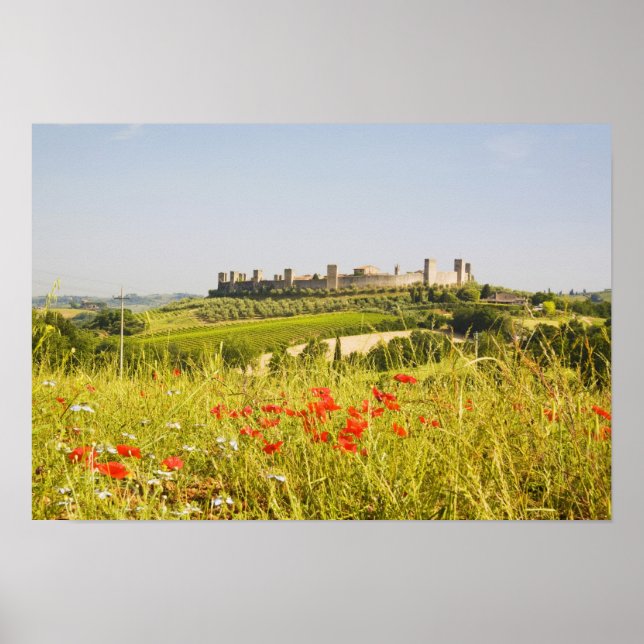 Italien, Monteriggioni, Field View of the Poster (Vorne)