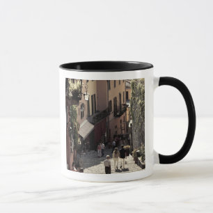 Italien, Provinz Como, Bellagio. Salita 2 Tasse