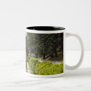 Italien, Provinz Lecco, Varenna. Villa Monastero, Zweifarbige Tasse