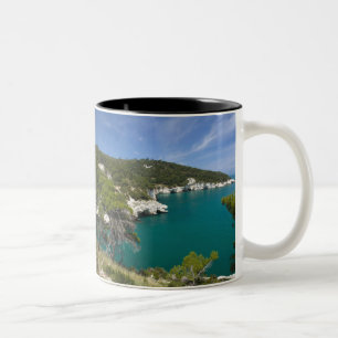 Italien, Puglia, Promontorio del Gargano, Testa Zweifarbige Tasse