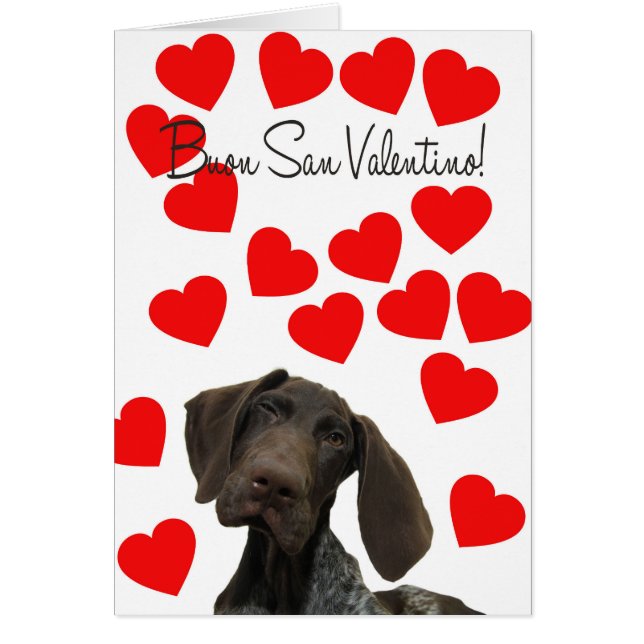 Italien San Valentino Glossy Grizzly Valentine (Devant)