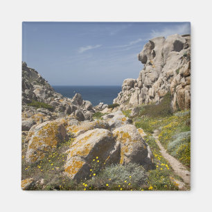 Italien, Sardinien, Santa Teresa Gallura. Capo 2 Magnet