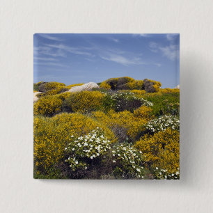 Italien, Sardinien, Santa Teresa Gallura. Capo 3 Button