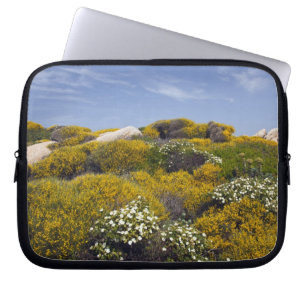 Italien, Sardinien, Santa Teresa Gallura. Capo 3 Laptopschutzhülle
