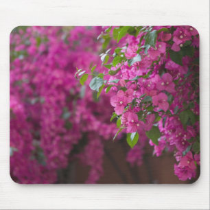 Italien, Sizilien, Cefalu, Blumenreicher Hof von Mousepad