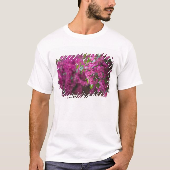 Italien, Sizilien, Cefalu, Hof von Flower T-Shirt (Vorderseite)