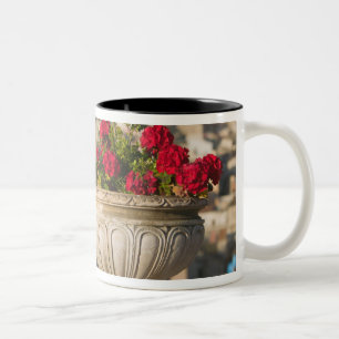Italien, Sizilien, Termini Imerese, Ansicht & Blum Zweifarbige Tasse
