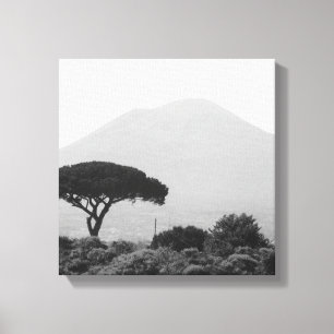 Italien Souvenir aus dem Vulkan Vesuv Leinwanddruck