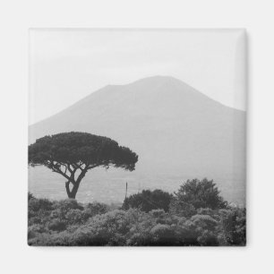 Italien Souvenir vom Vulkan Vesuv Magnet