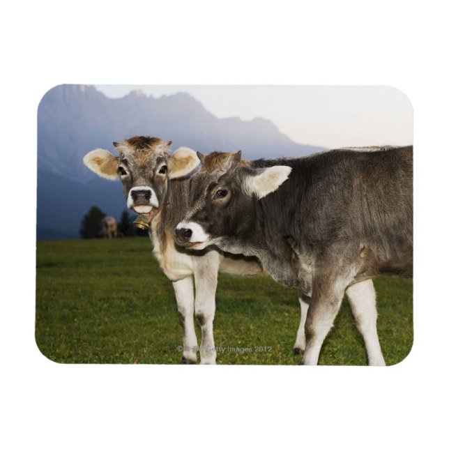 Italien, Südtirol Magnet (Horizontal)