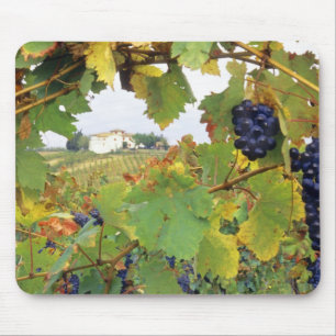 Italien - Toskana Bauernhof durch Mousepad